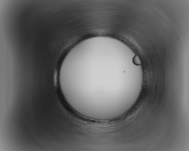 X0000093490024200710121021