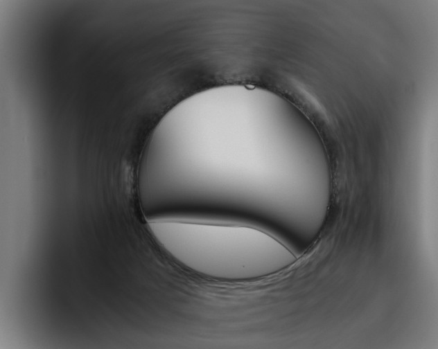 X0000093490025200710121021