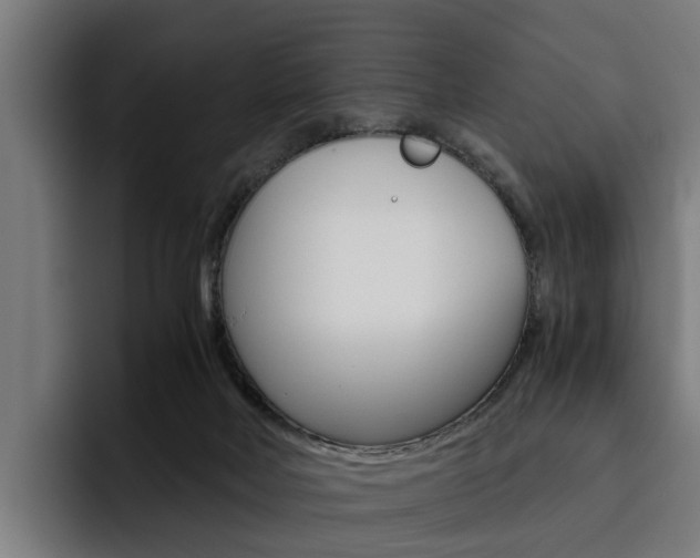 X0000093490026200710121021