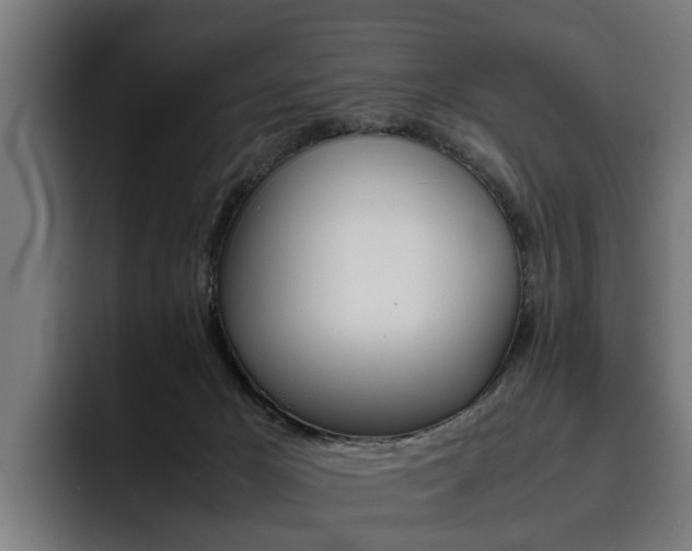 X0000093490029200710121021