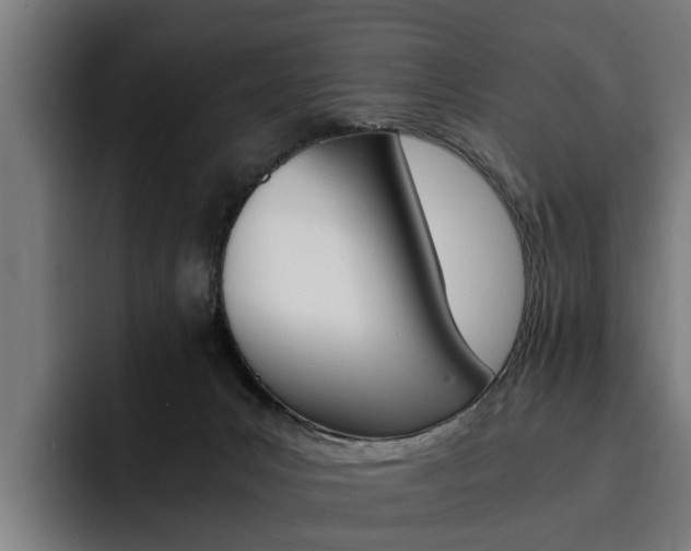 X0000093490031200710121021