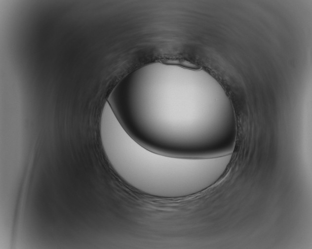 X0000093490033200710121021