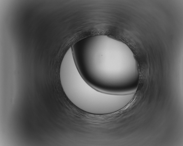 X0000093490045200710121021