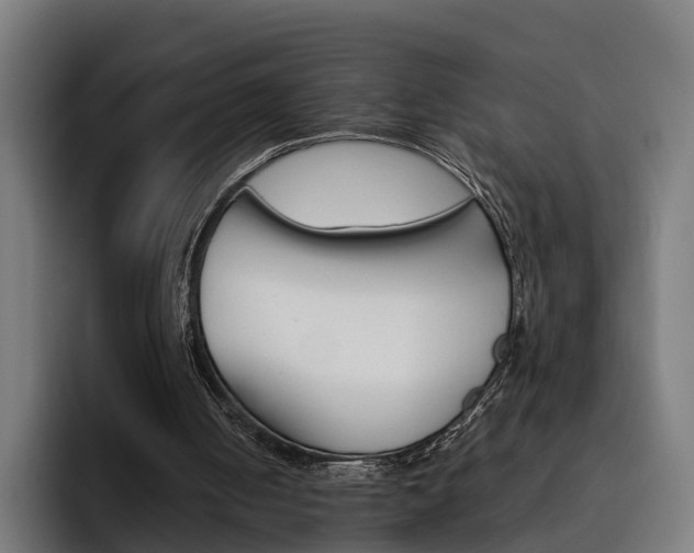 X0000093490050200710121020
