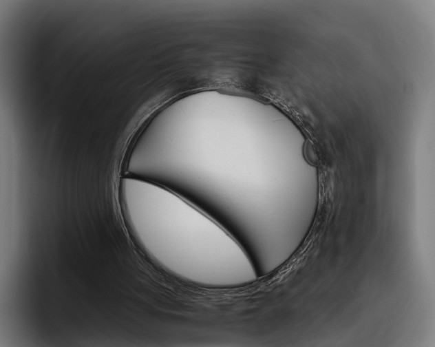 X0000093490051200710121020