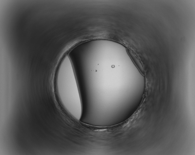 X0000093490054200710121020