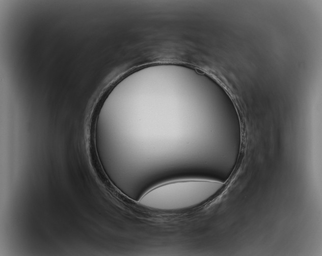 X0000093490055200710121020