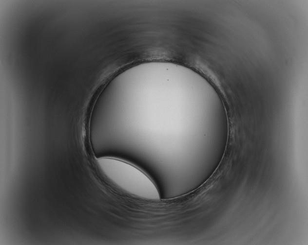 X0000093490059200710121020