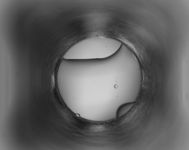 X0000093490061200710121020