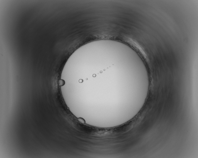 X0000093490065200710121020