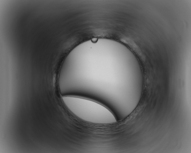 X0000093490066200710121020