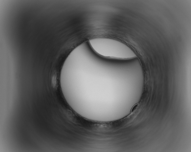 X0000093490074200710121020