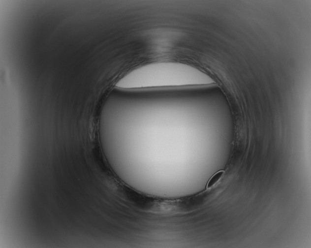 X0000093490078200710121020