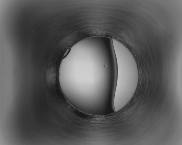 X0000093490080200710121020
