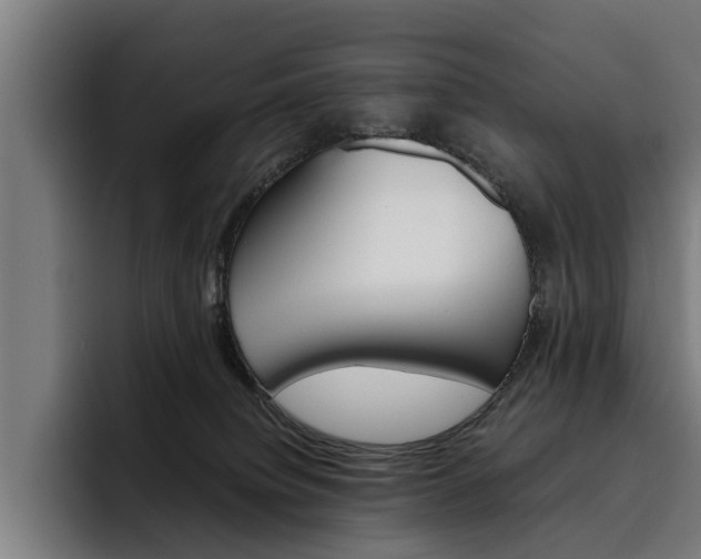 X0000093490084200710121020