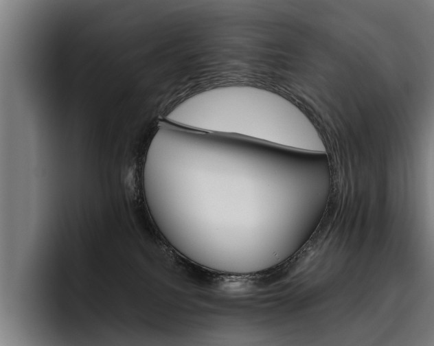 X0000093490088200710121020