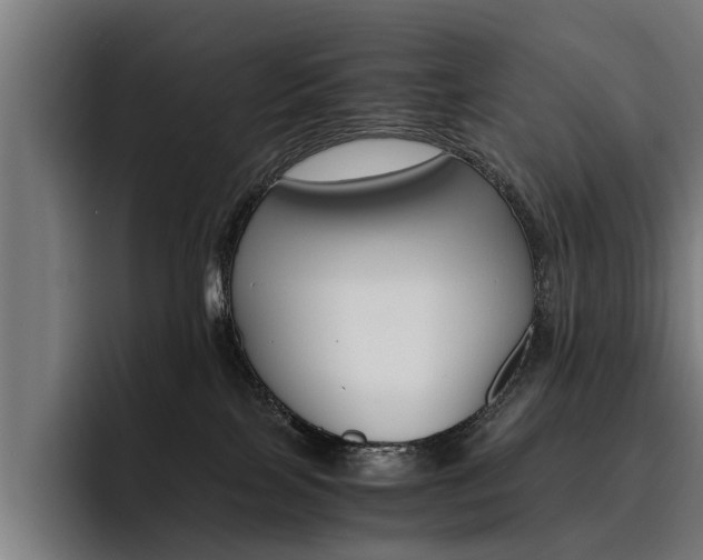 X0000093490089200710121020