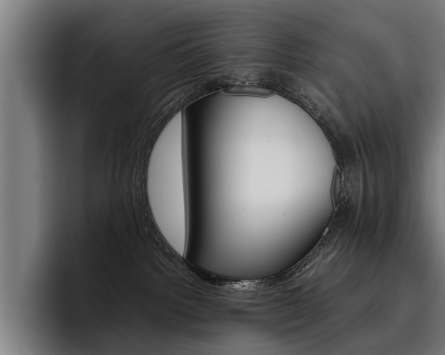 X0000093490092200710121020