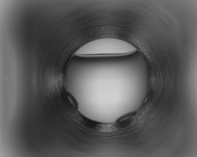 X0000093490093200710121020