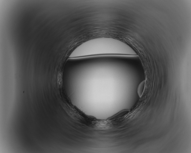 X0000093490096200710121020
