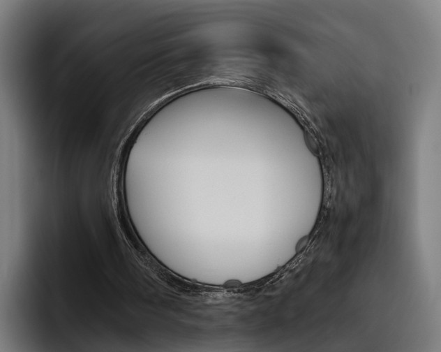 X0000093490098200710121020