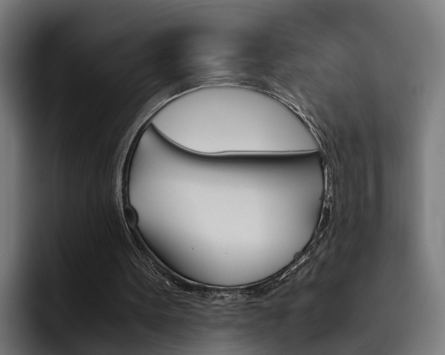 X0000093490099200710121020