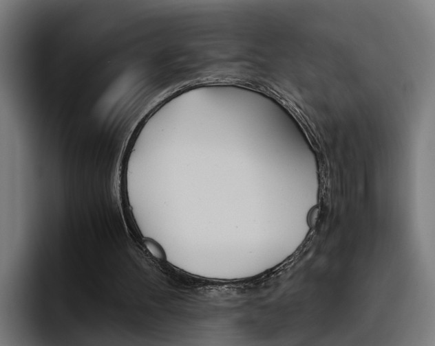 X0000093490100200710121020