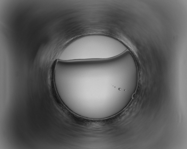 X0000093490107200710121020
