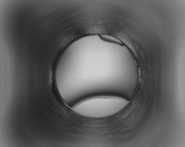 X0000093490109200710121020