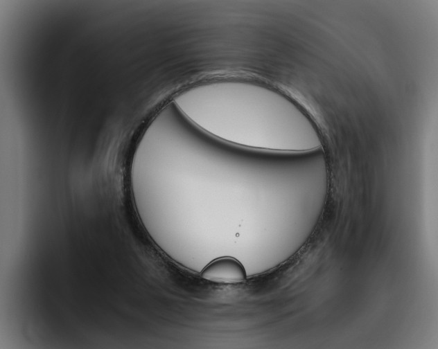 X0000093490111200710121020