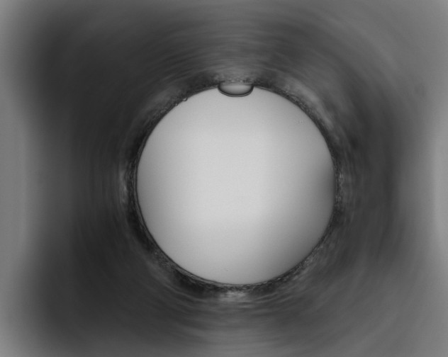 X0000093490114200710121020