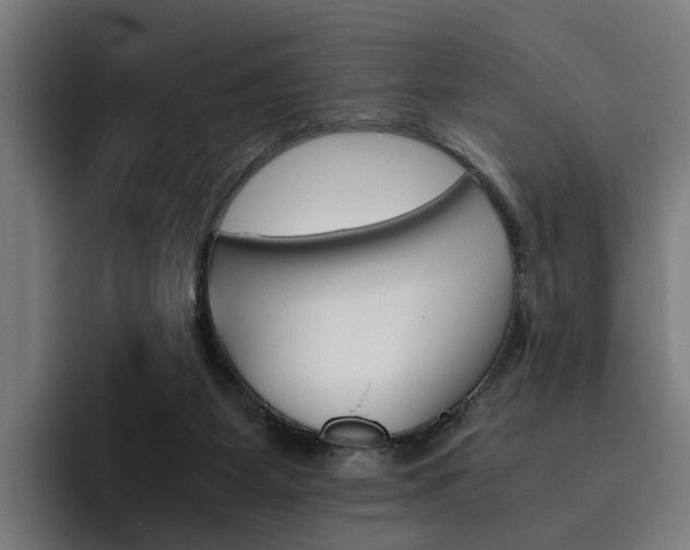 X0000093490115200710121020