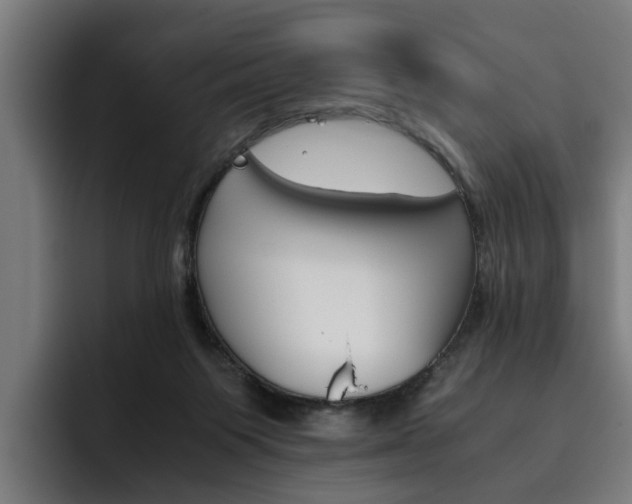 X0000093490119200710121020