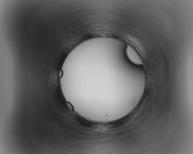 X0000093490121200710121020