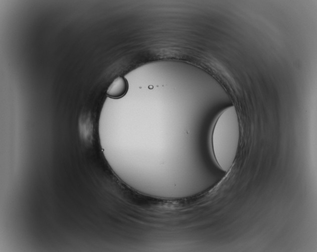 X0000093490124200710121020