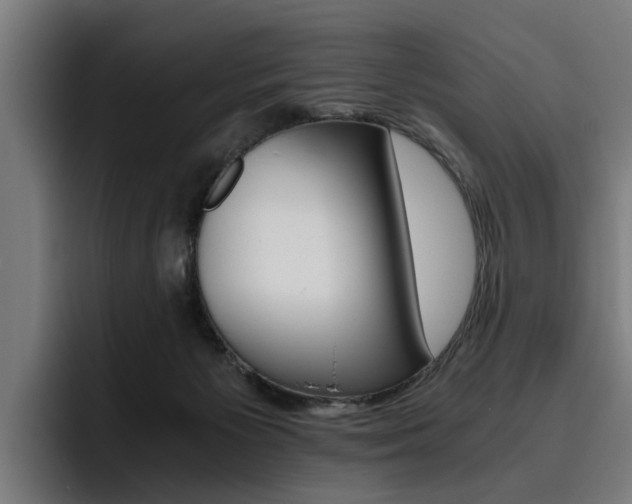 X0000093490125200710121020