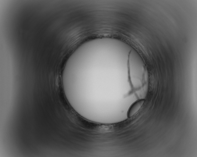 X0000093490126200710121020
