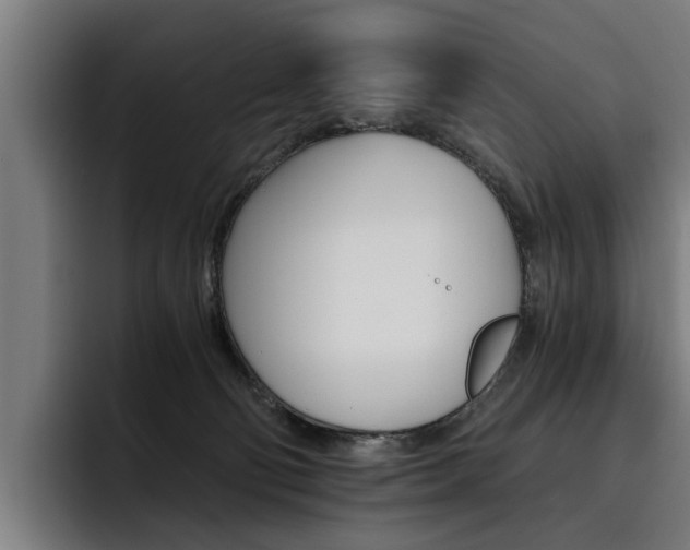 X0000093490130200710121020
