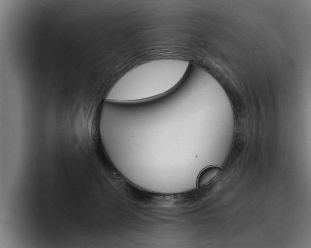 X0000093490131200710121020