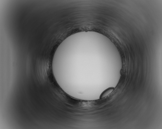 X0000093490134200710121019