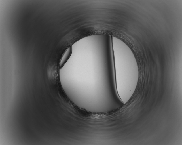 X0000093490137200710121019