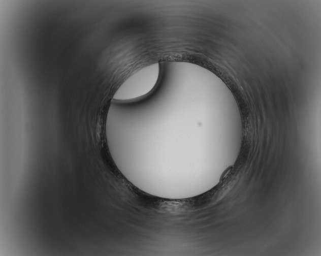 X0000093490139200710121019