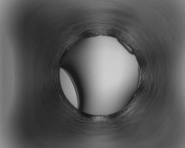 X0000093490141200710121019