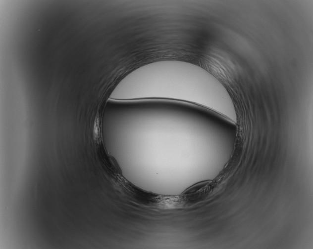 X0000093490143200710121019