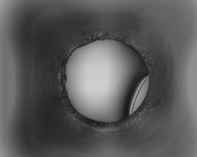 X0000093490144200710121019