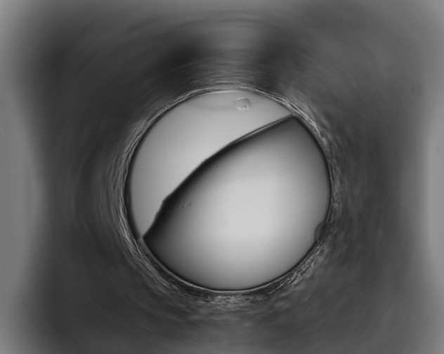 X0000093490145200710121019