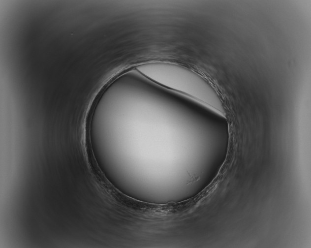 X0000093490148200710121019