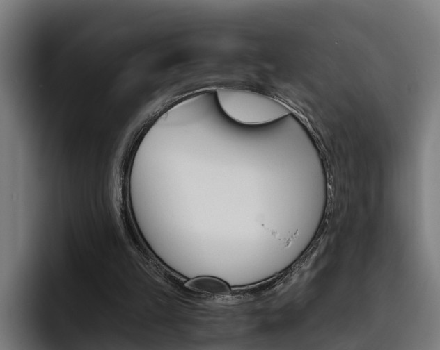 X0000093490149200710121019
