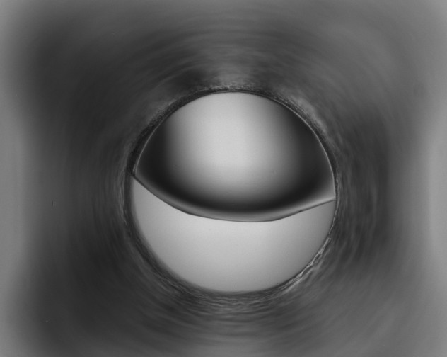 X0000093490154200710121019