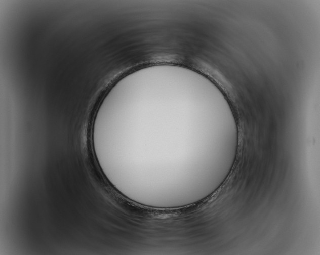 X0000093490155200710121019